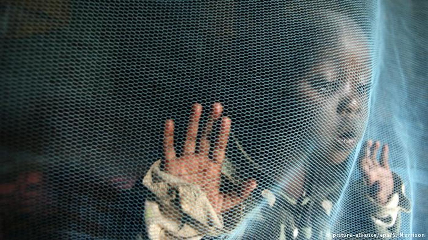 La OMS probará la primera vacuna contra la malaria en África