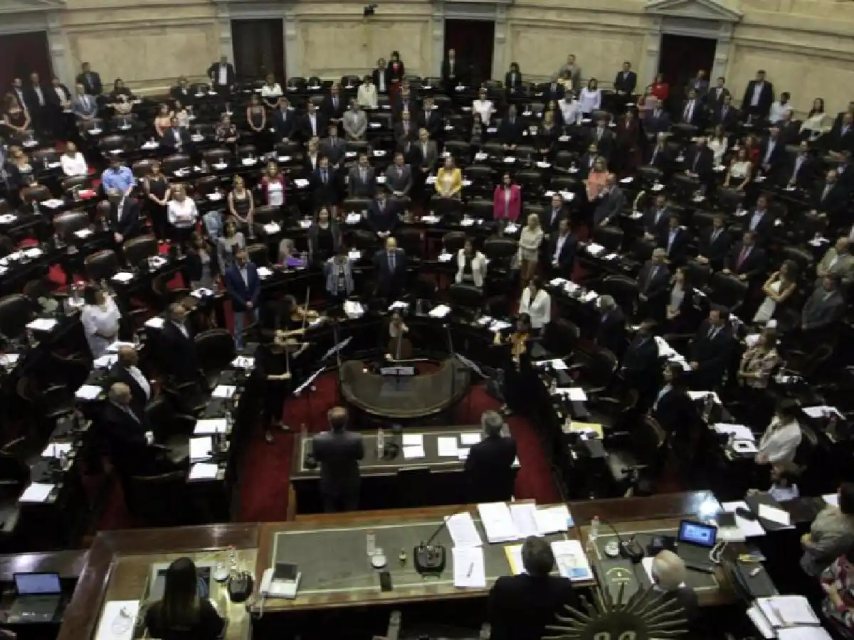 El aborto y la corrupción desplazaron el proyecto de Reforma del Código Penal