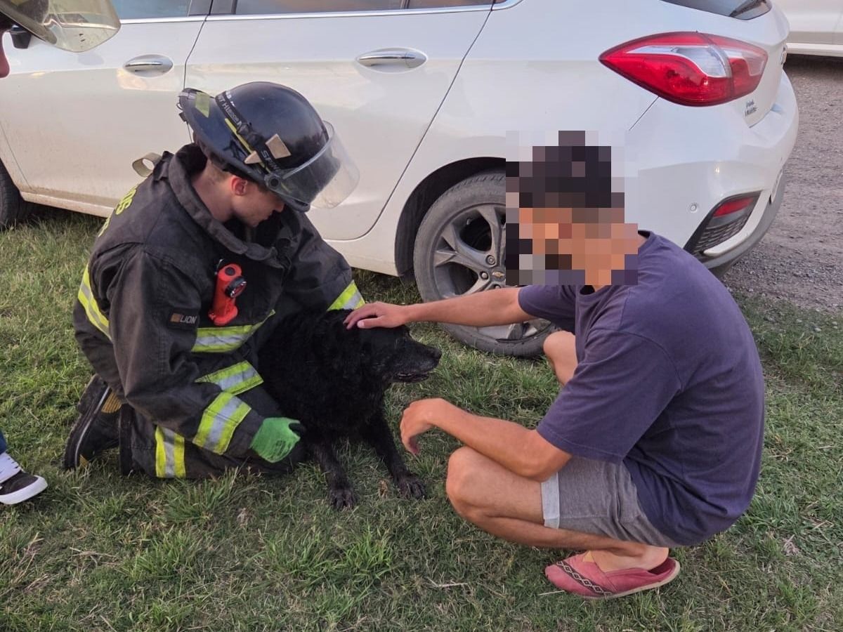 Gran labor de Bomberos Zapadores: rescataron un perro que se cayó a un zanjón