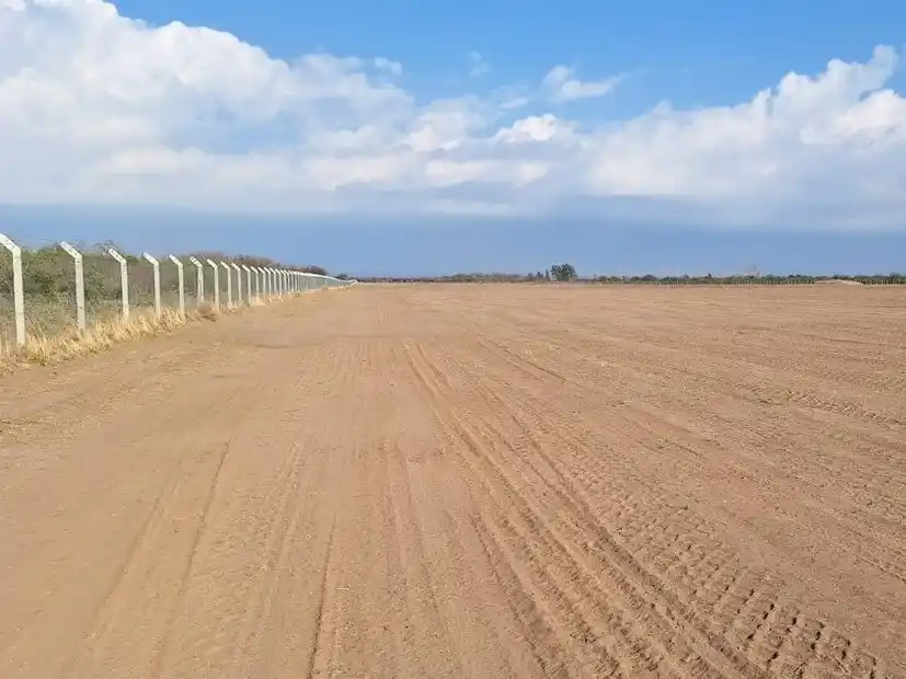 Predio donde se levantará el parque solar Calicanto.