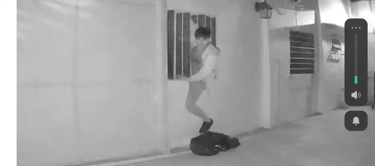 Robaron 30 kilos de milanesa en una pollería durante la madrugada