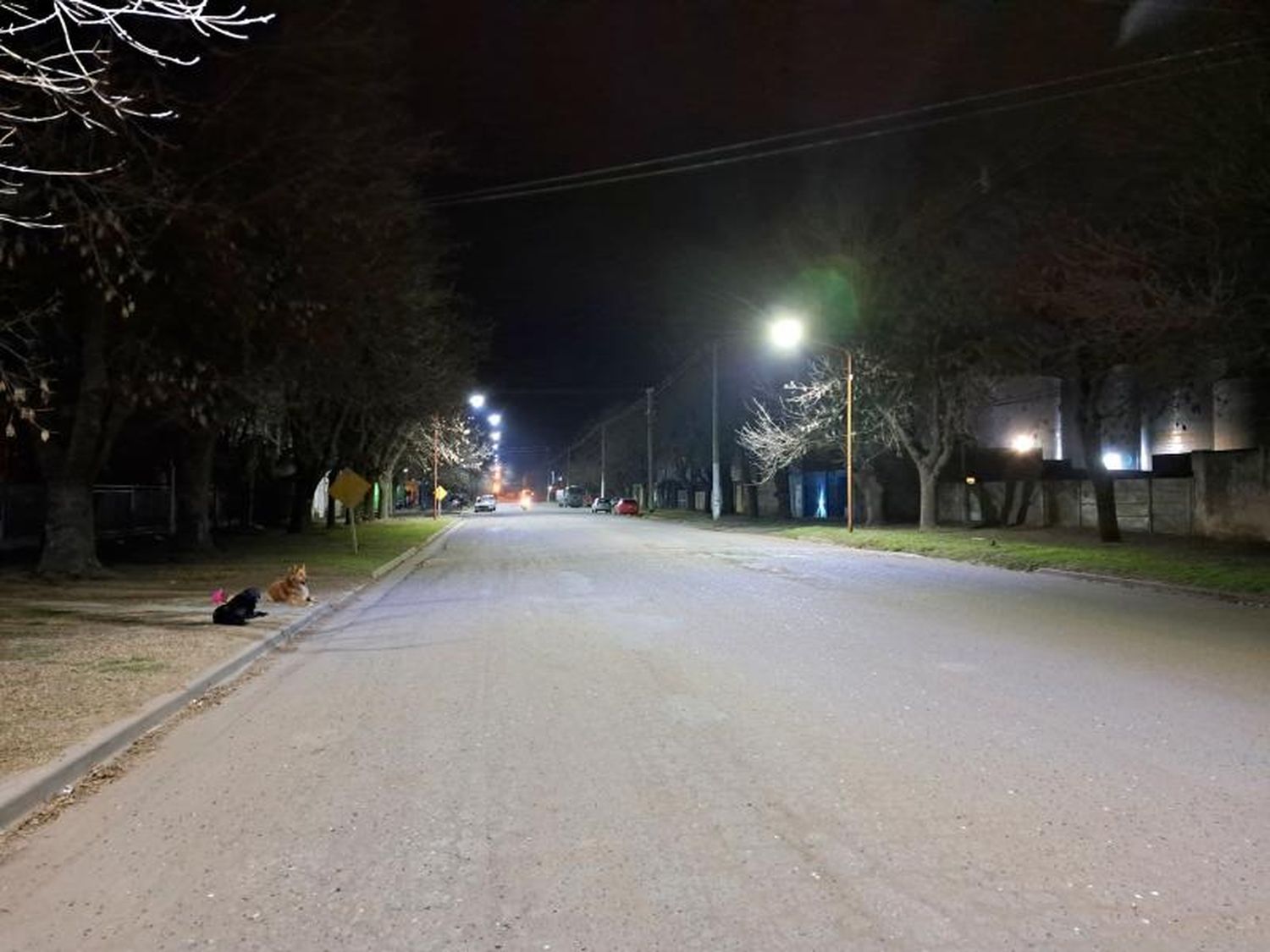 En la primera etapa fueron adquiridas 300 luces led, las cuales comenzaron a ser colocadas en Barrio Norte y FOPROVI y en los próximos días se instalarán los barrios Vila, FONAVI y Pardo.
Foto: Municipalidad de Villa Cañás.