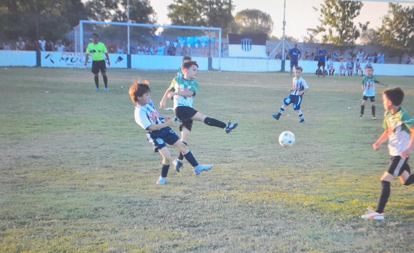 Infantil 3