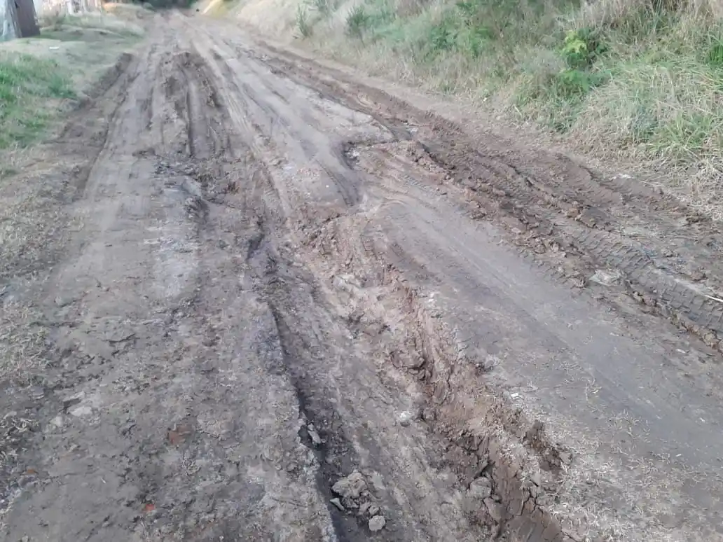 El estado de la calle Luis Nelly