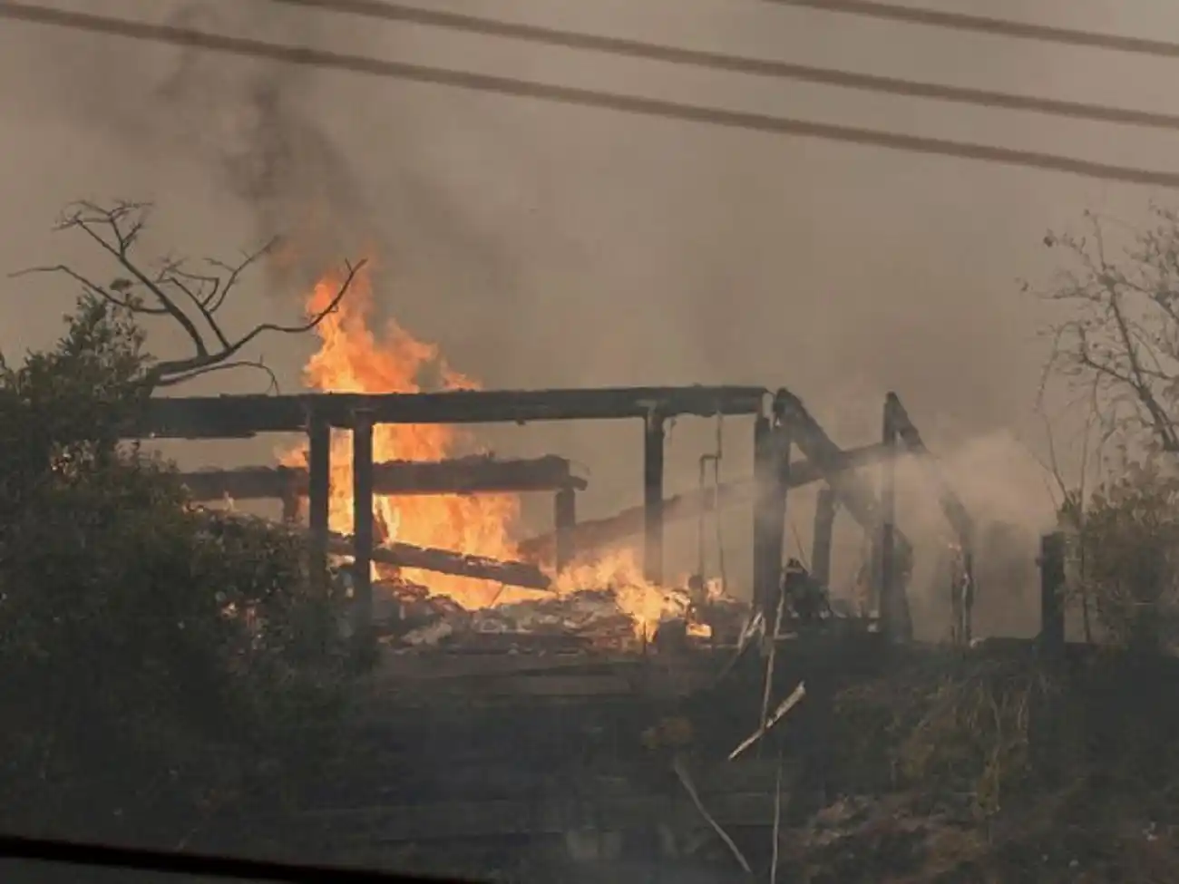 El incendio Palisades, en Los Ángeles. (Reuters/Daniel Dreifuss)