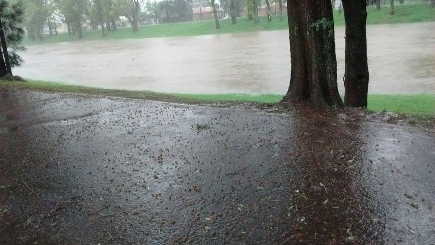 Temporal: Cortes de rutas y evacuados en Pergamino