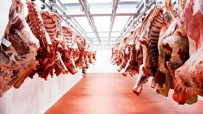 Las exportaciones de carne vacuna cerraron 2020 con un nuevo récord