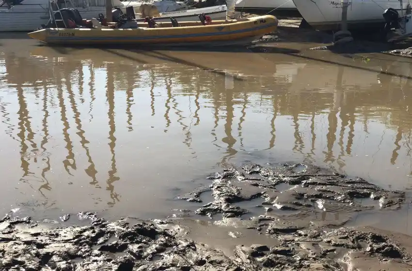 Desesperación por la bajante del Paraná: se espera que el agua descienda aún 70 centímetros más