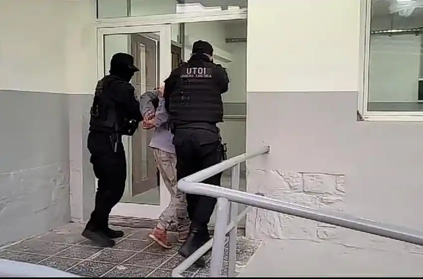 Ladrón con muchos perros: se robó tres bolsas de alimento