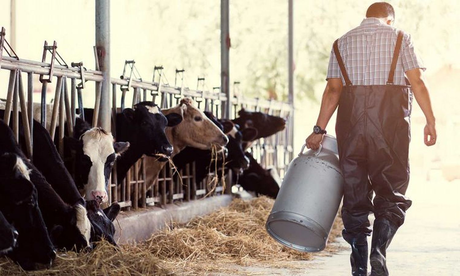 Alcanzar el precio ideal y  reinsertar la leche en la  sociedad, entre los desafíos  de la Cuenca Mar y Sierras