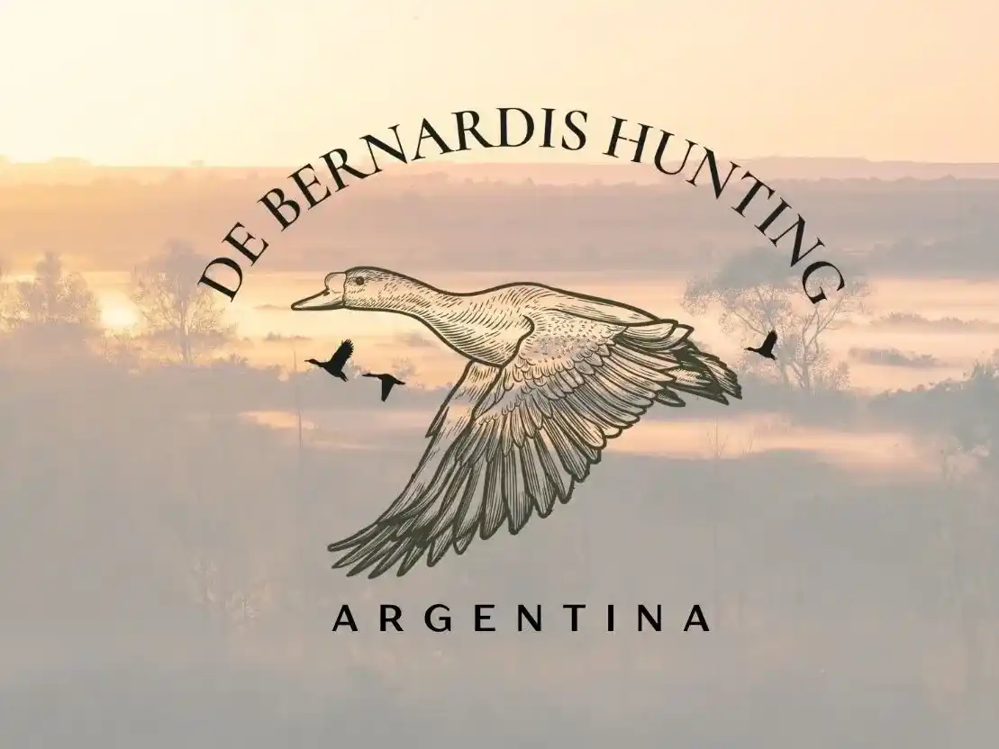 Dos allanamientos, toda la documentación en regla y un daño que ya está hecho