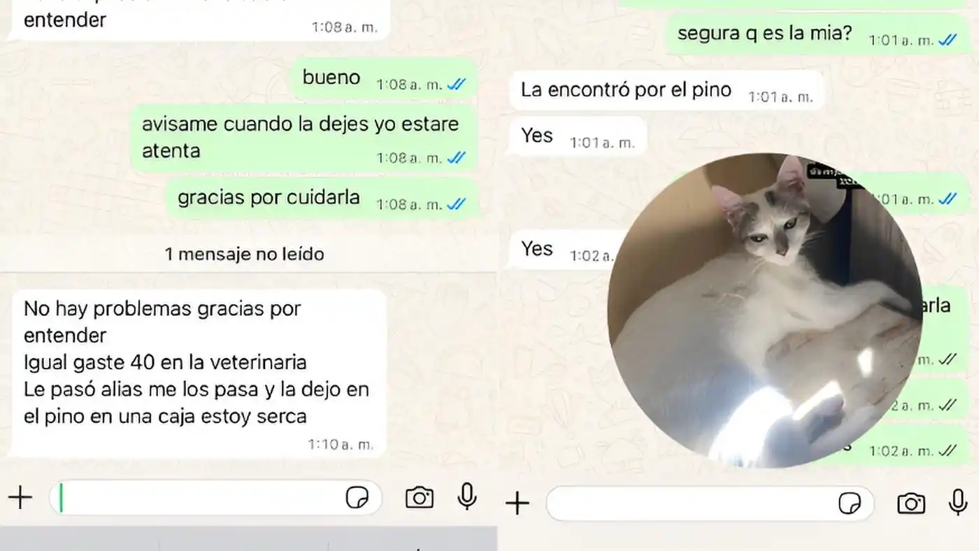 Algunos de los mensajes difundidos por la joven.