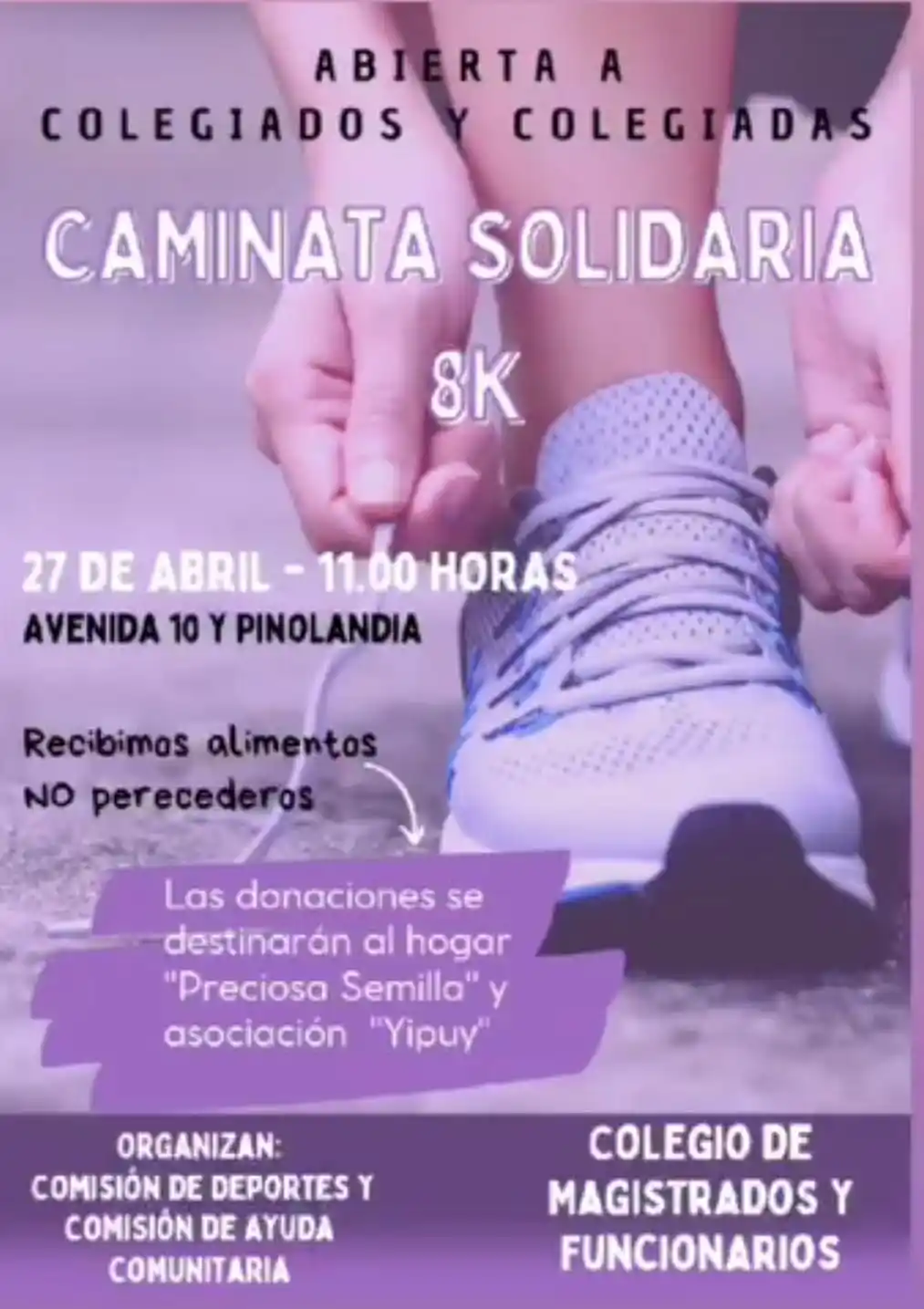 Caminata solidaria