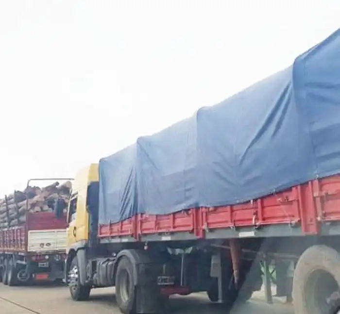 El Gobierno debería tomar medidas para terminar con los cortes de ruta