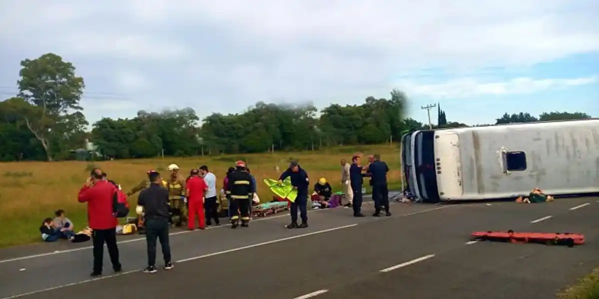 Volcó un micro con chicos en la ruta 2 a la altura de Lezama: hay al menos 2 muertos y 10 heridos