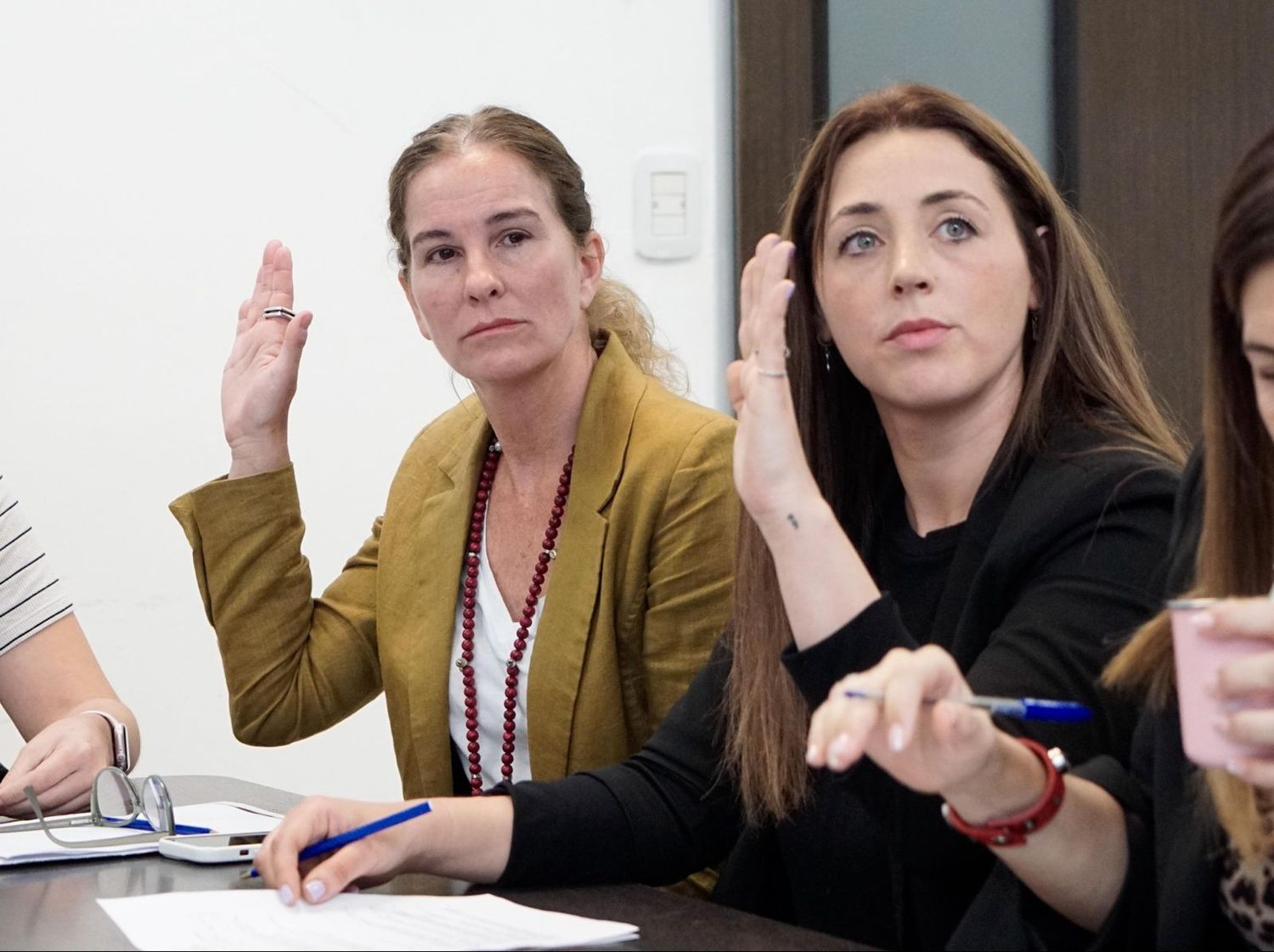 Luciana Padulo en la reunión de la comisión de Educación en la Cámara Baja.