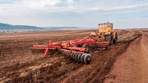 Agricultura regenerativa, un nuevo enfoque ambiental  y económico en la producción