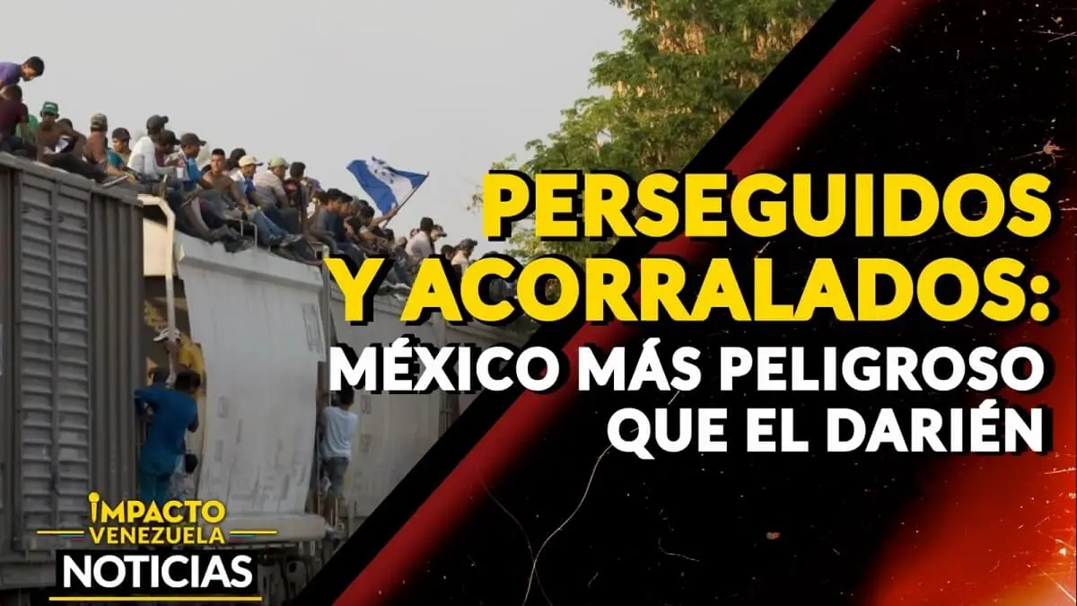 PERSEGUIDOS Y ACORRALADOS: México más peligroso que el DARIÉN – VIDEO