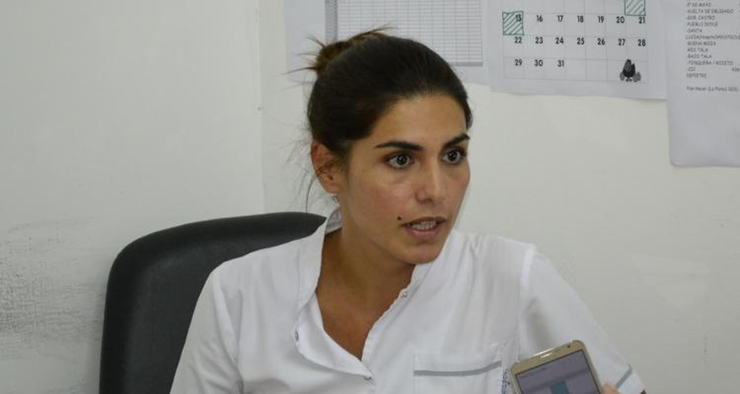 Oficina Animal: Dónde comenzará a castrar gratuitamente la veterinaria municipal