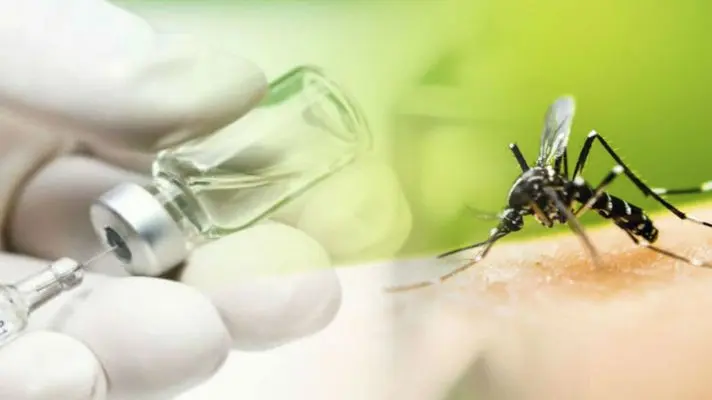 NO ES SUFICIENTE CON LA PANDEMIA: la OMS confirma brote de fiebre amarilla en Venezuela y recomienda vacunar