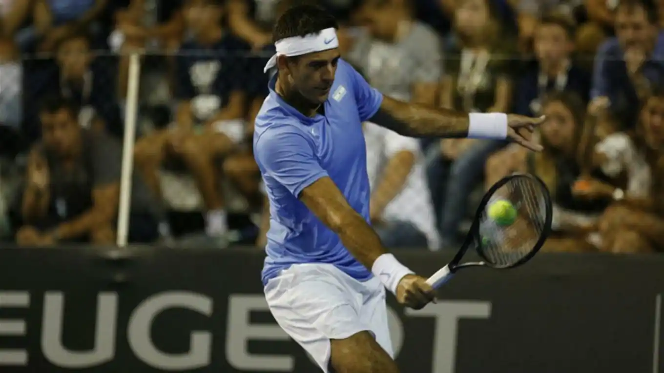 Del Potro vivió su fiesta en Mar del Plata