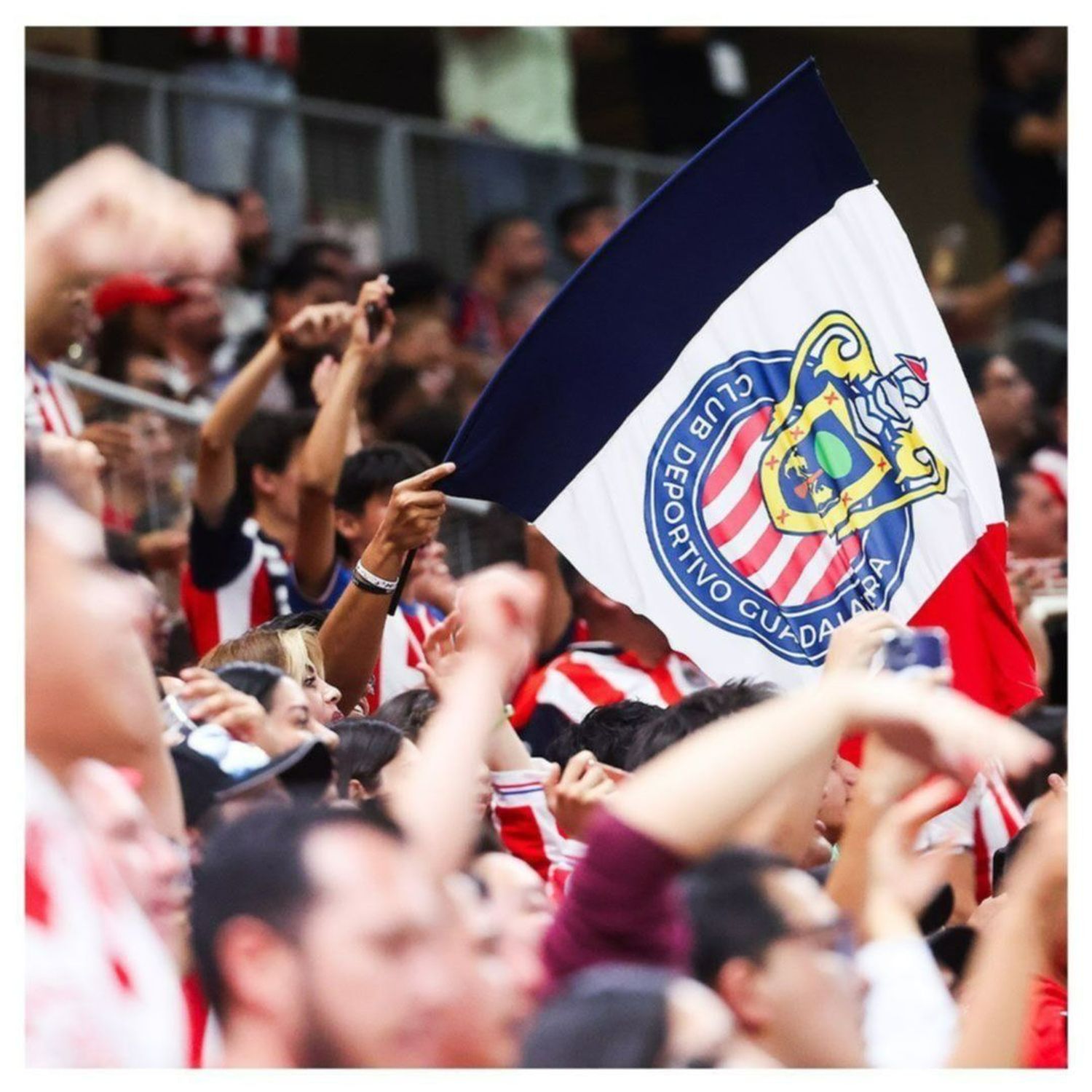 La hinchada de Chivas de Guadalajara lista para el clásico