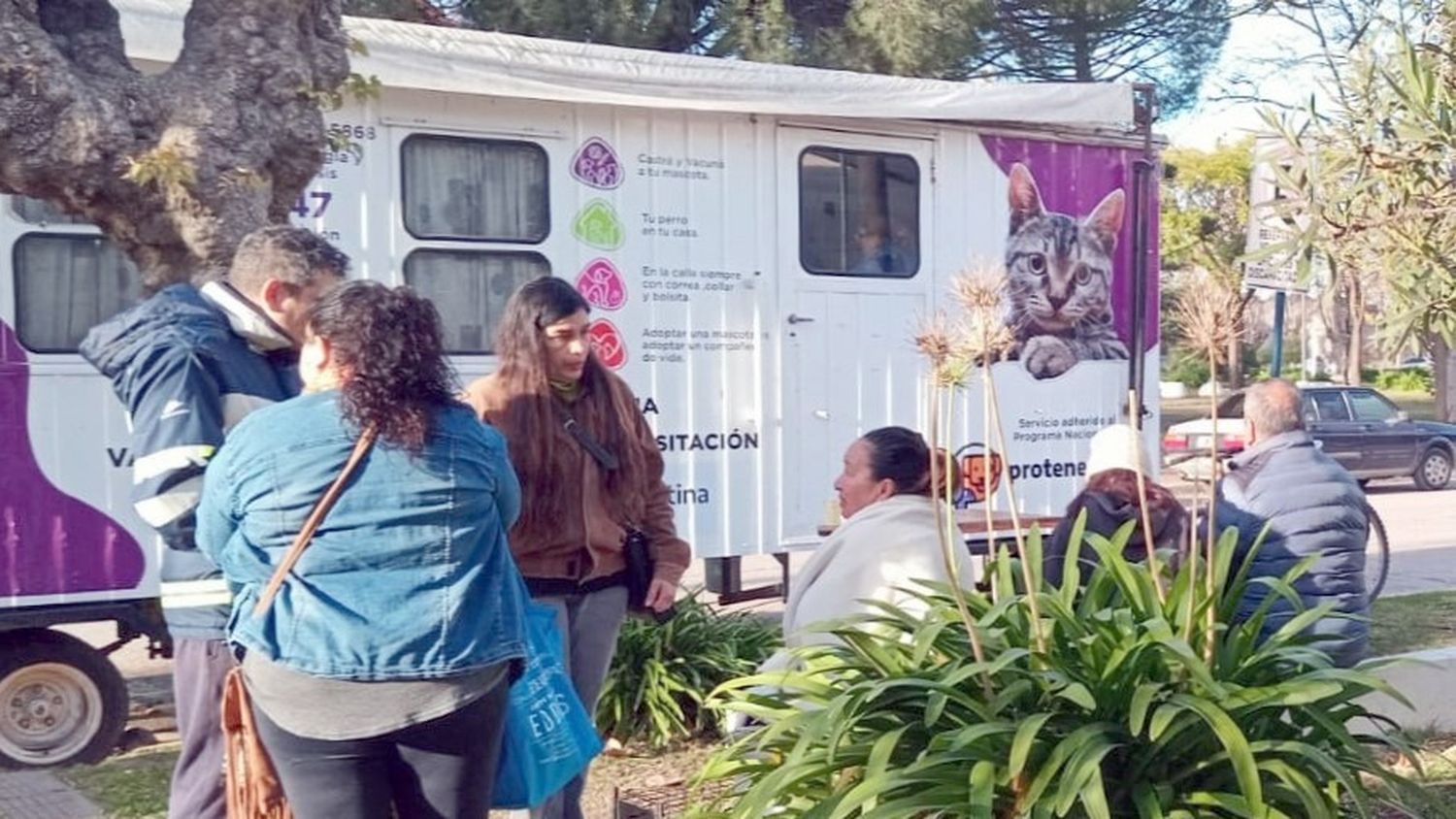 A partir de hoy el quirófano móvil atenderá en Quequén
