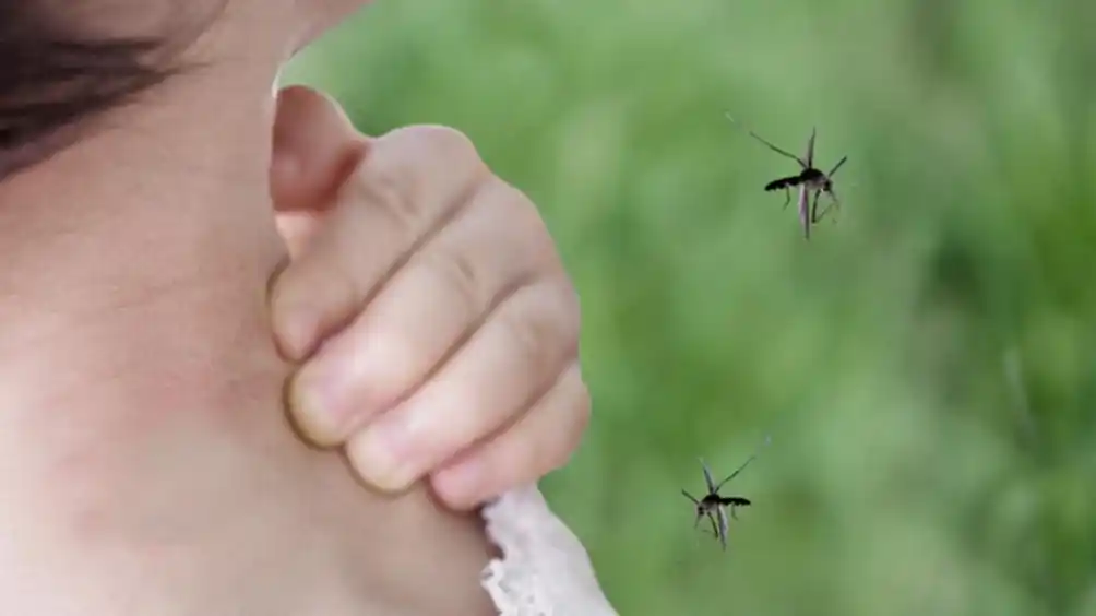 Pese a que los casos en el país superaron el registro histórico, en Tandil no hubo dengue