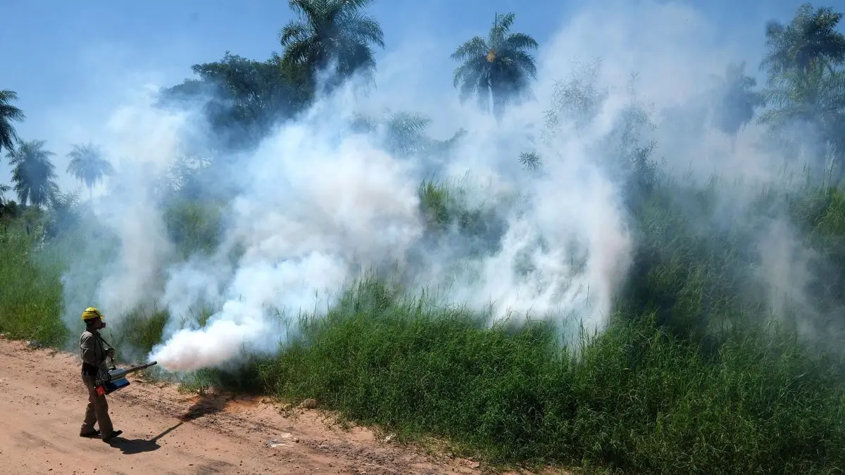 El dengue “se está volviendo una enfermedad endémica en todo el país”