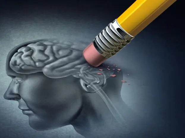 El cerebro funciona como un filtro de prioridades