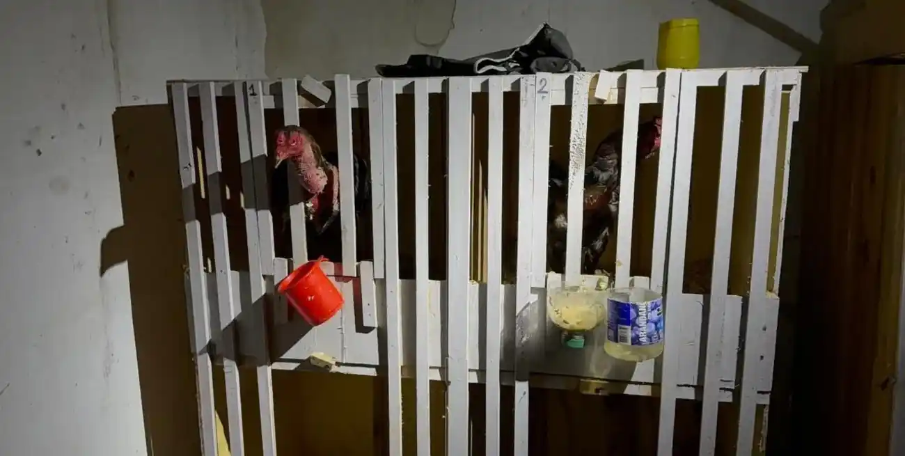 Santa Fe: investigan a un joven por tráfico de armas, narcomenudeo, maltrato animal y robo de una moto