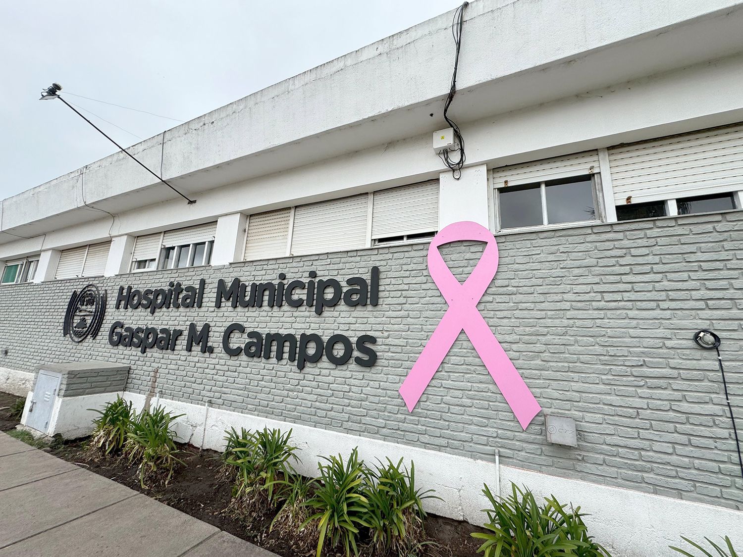 Lazo rosado. En el frente del hospital municipal “Gaspar M Campos”
