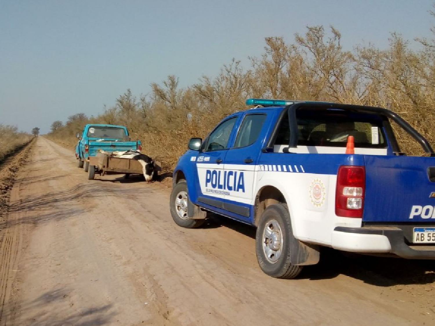 Tres detenidos por robo de ganado cerca de Alicia 