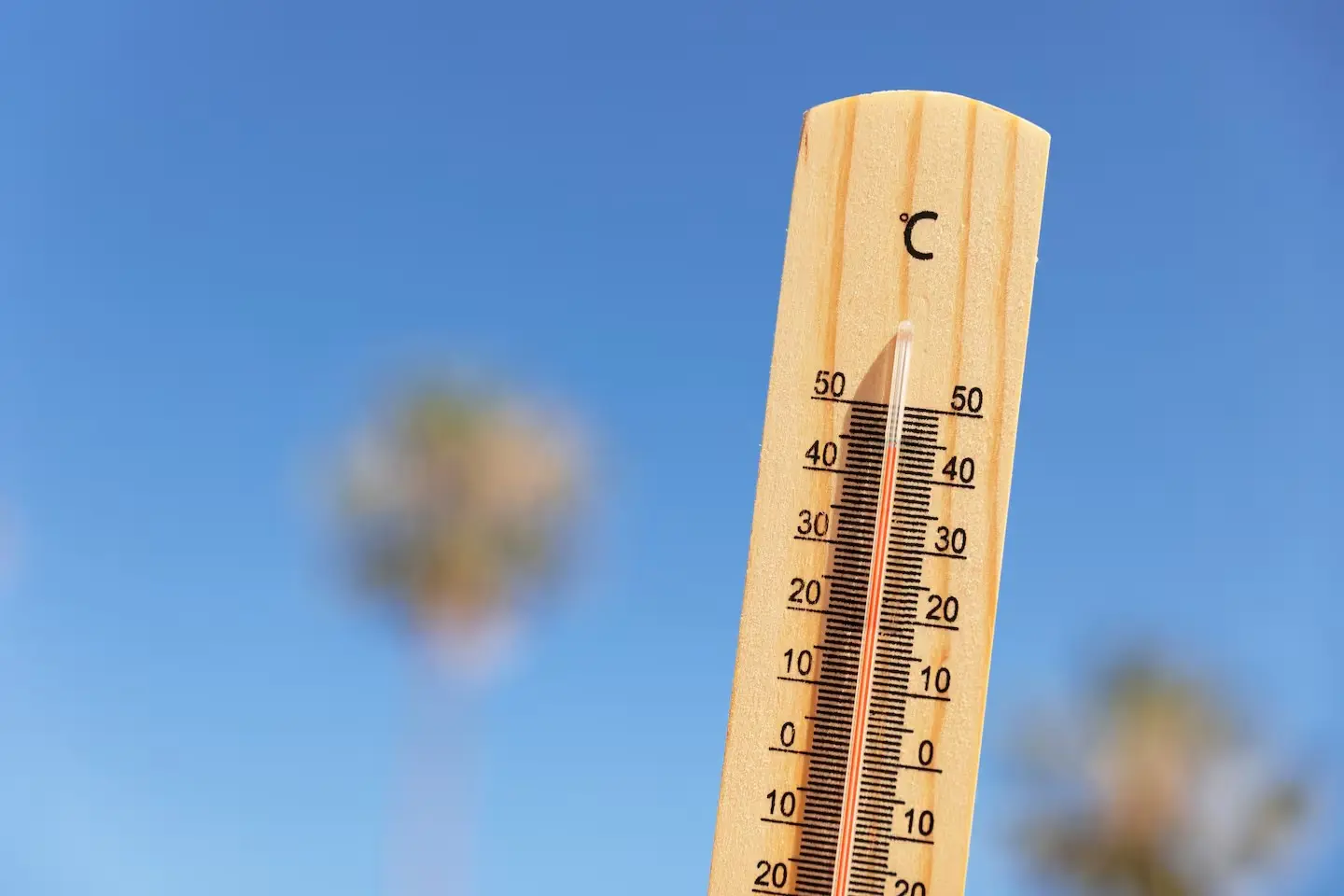 RECOMENACIONES PARA ESTE VERANO