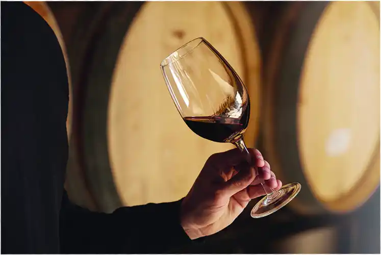 Crece más de 30% la producción de malbec en Argentina