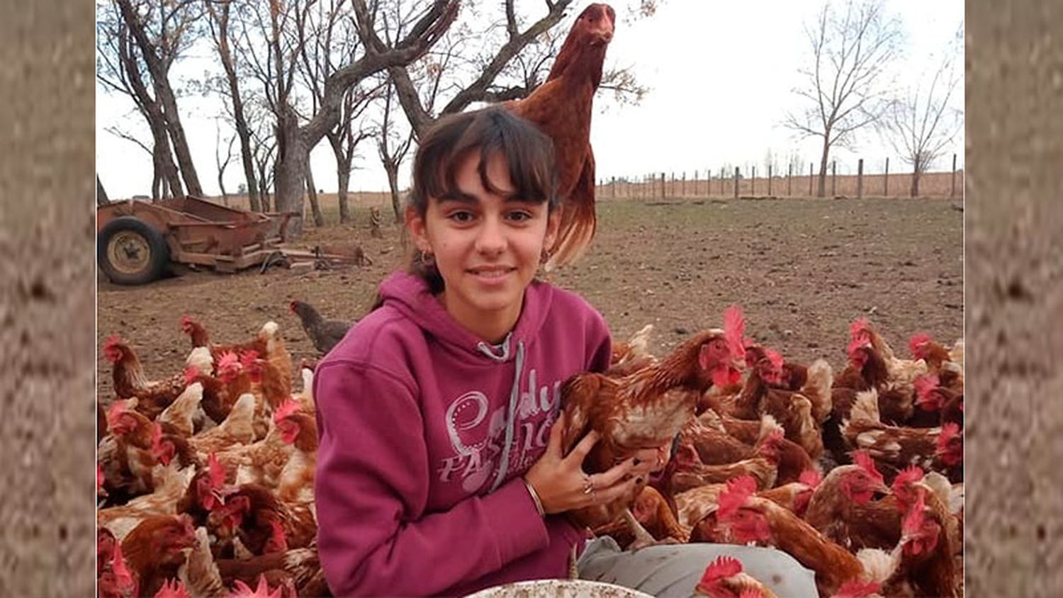 Con 14 años, empezó a criar gallinas en la pandemia: ya tiene 800 y vende huevos