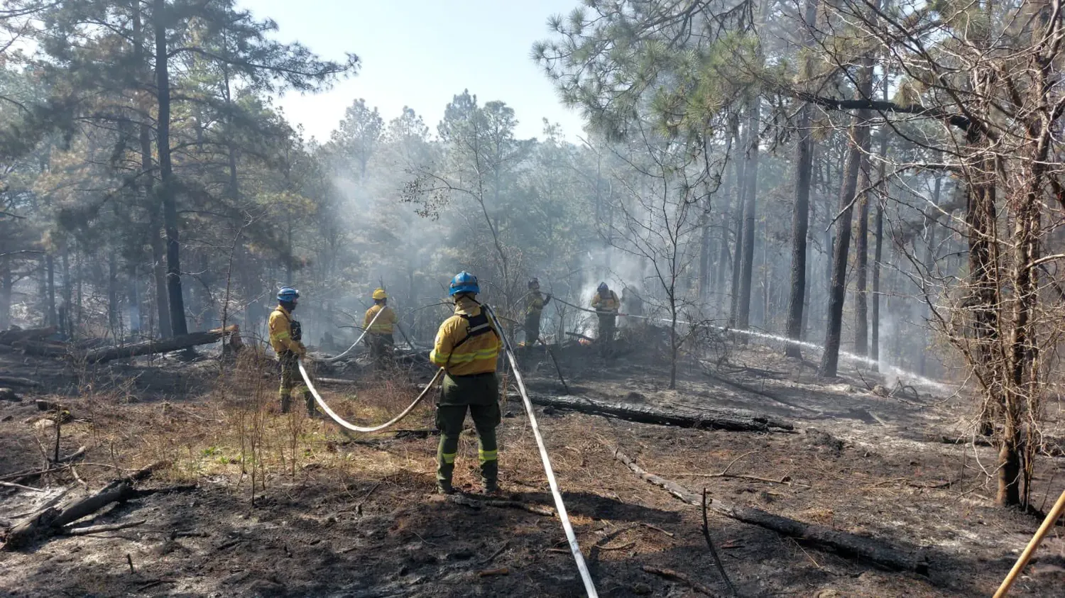 El Gobierno indicó que se mantiene el alerta por riesgo extremo de incendio por las condiciones climáticas