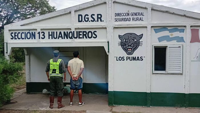 carne secuestrada huanqueros los pumas - 2