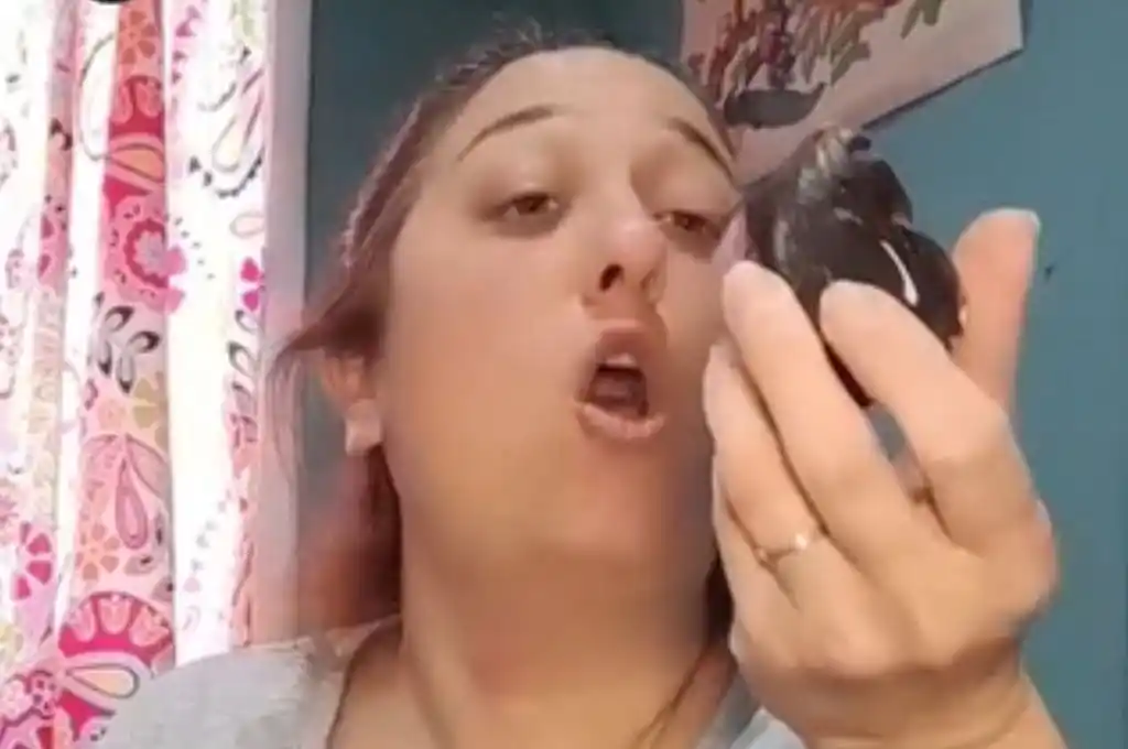 Erica hizo una parodia de la manera en que las empresas otorgan los alias