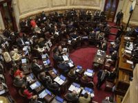 El Senado rechazó decretos desregulatorios de Sturzenegger