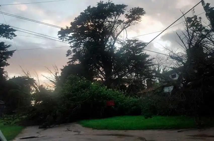 Las fotos de lo que dejó el paso del viento