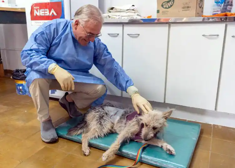 Nueva oficina. En el predio del Parque Municipal Taglioretti