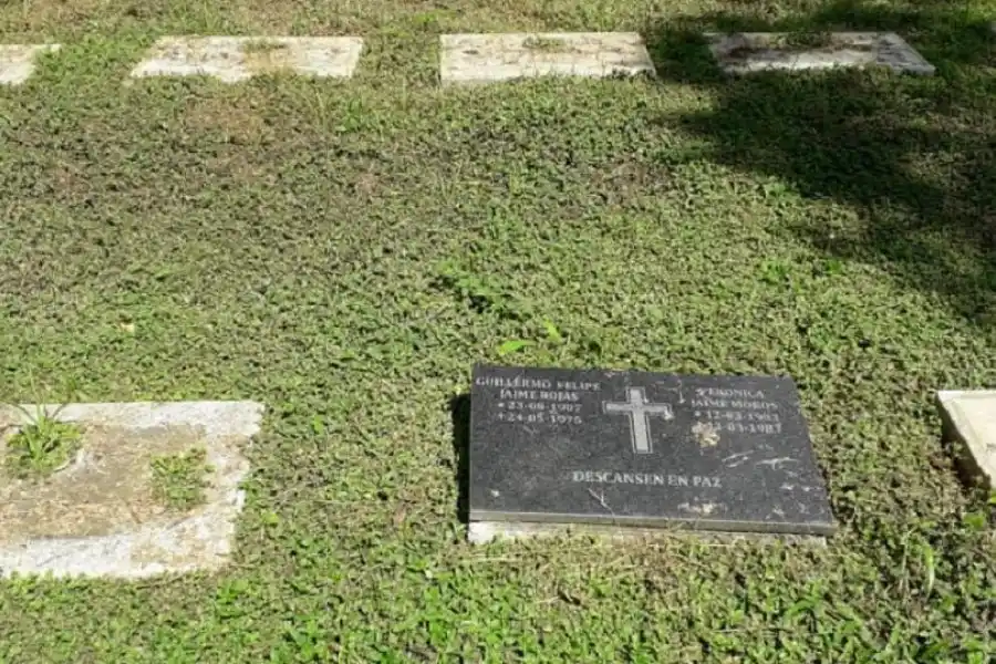 Robaron placas de las tumbas, hasta un poste de luz, e intentaron llevarse la reja de una alcantarilla