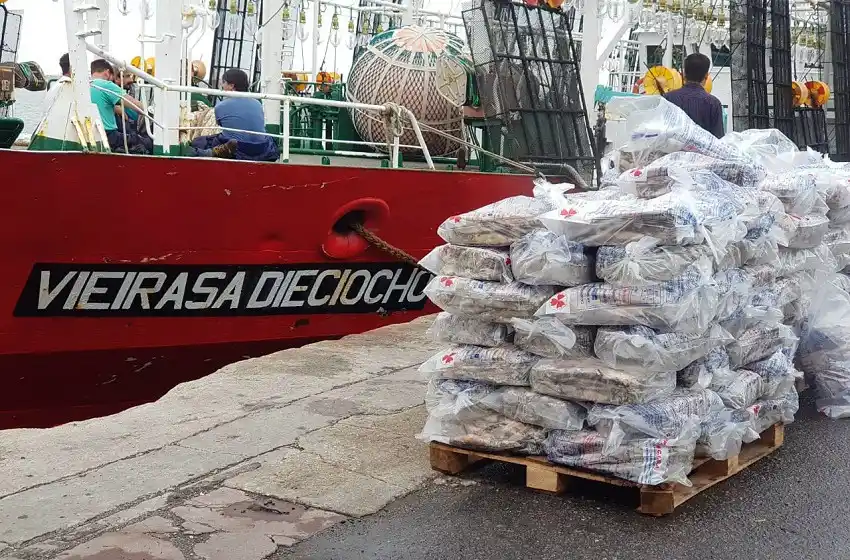 Calamar: una pesquería a oscuras que ilumina Mar del Plata