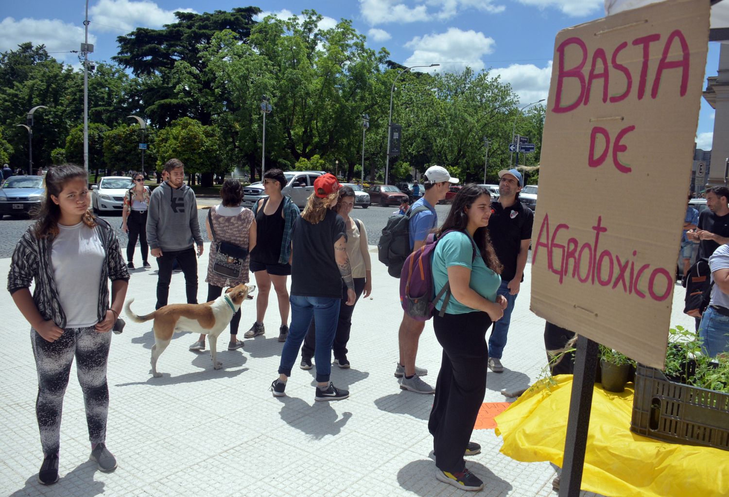 Organizaciones ambientalistas siguen con su lucha y denunciarán penalmente a los concejales