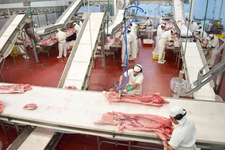 Una empresa tandilense exportará carne de cerdo a China