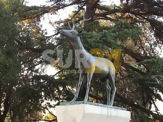 Comienzo de primavera fresco y con anuncio de lluvias para mañana en Venado y la región