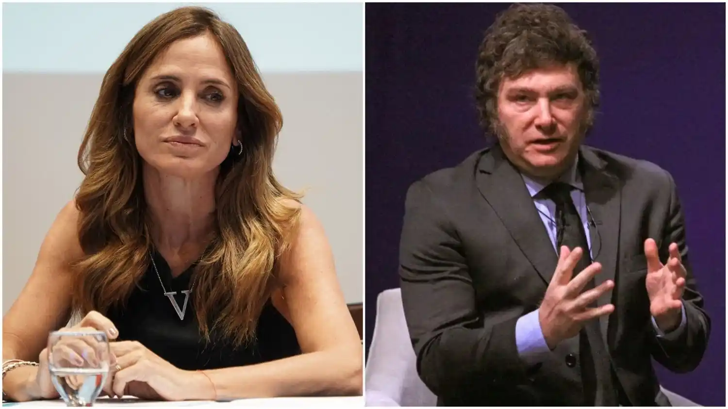 Tolosa Paz arremetió contra Milei.