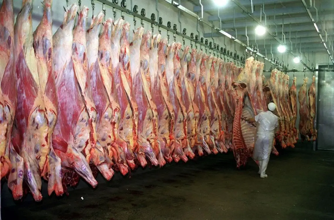 El Gobierno prohibió por dos años la exportación de siete cortes de carne