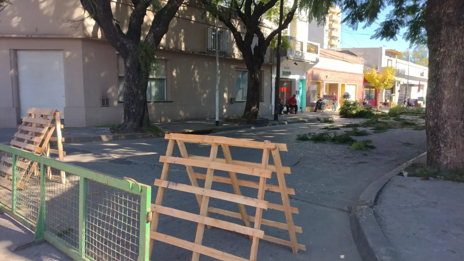Circulación restringida por poda de árboles